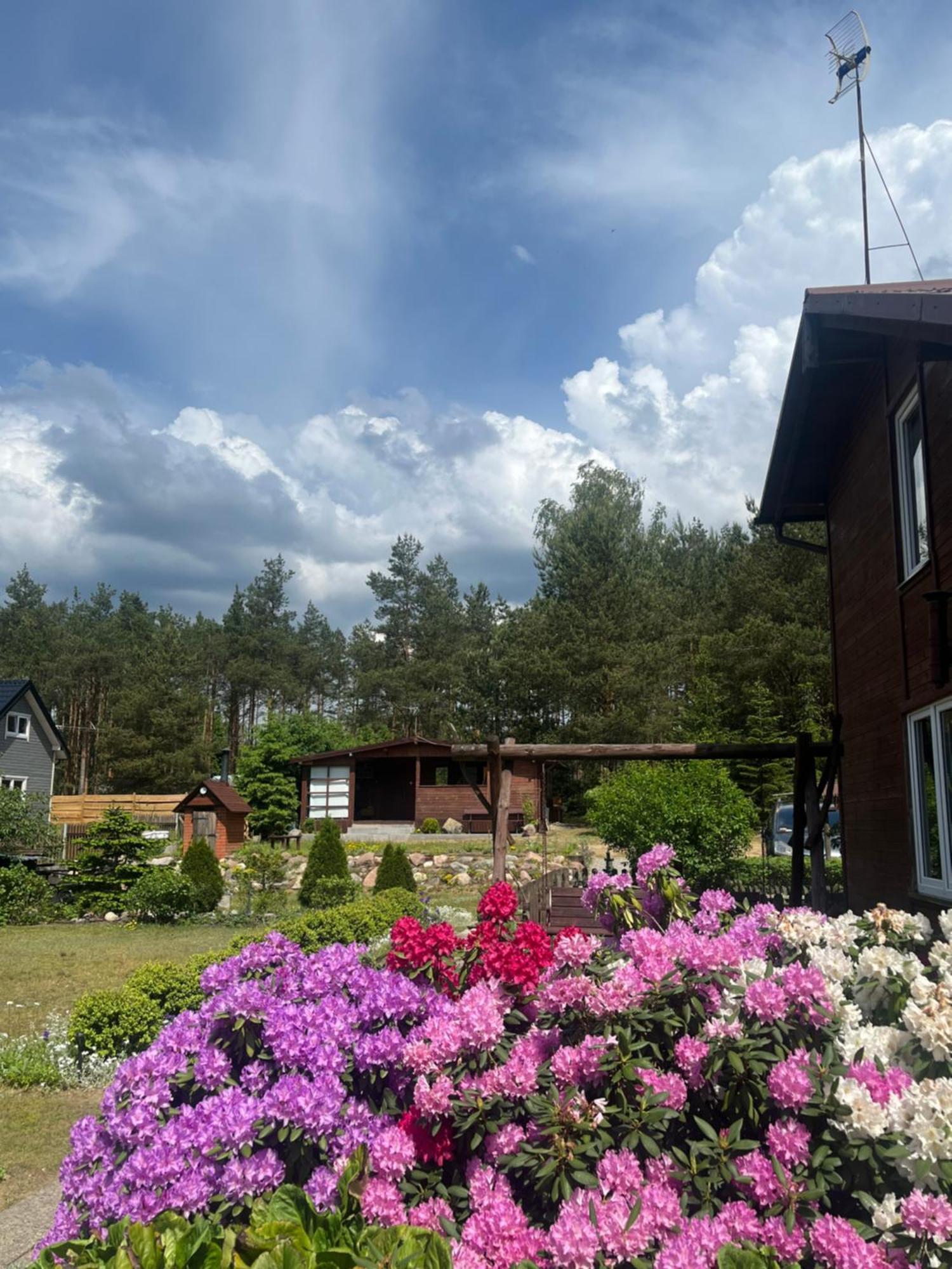 Domek Stas Wiele Exterior photo